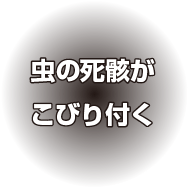 虫の死骸がこびり付く